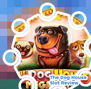 Dog house slot free