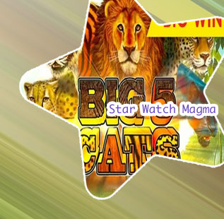 Star watch magma slot machine